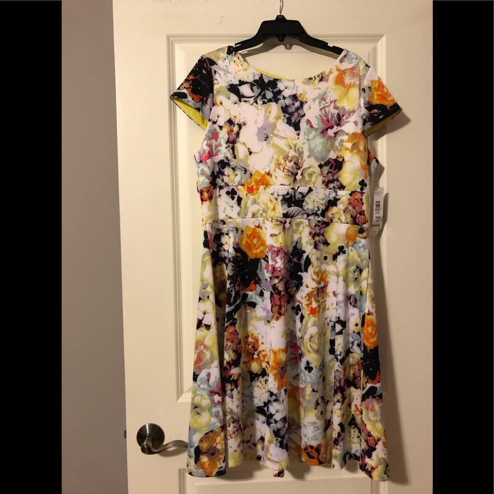 Tiana B. Dress